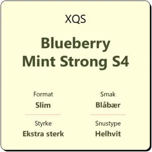 XQS Blueberry Mint Strong S4