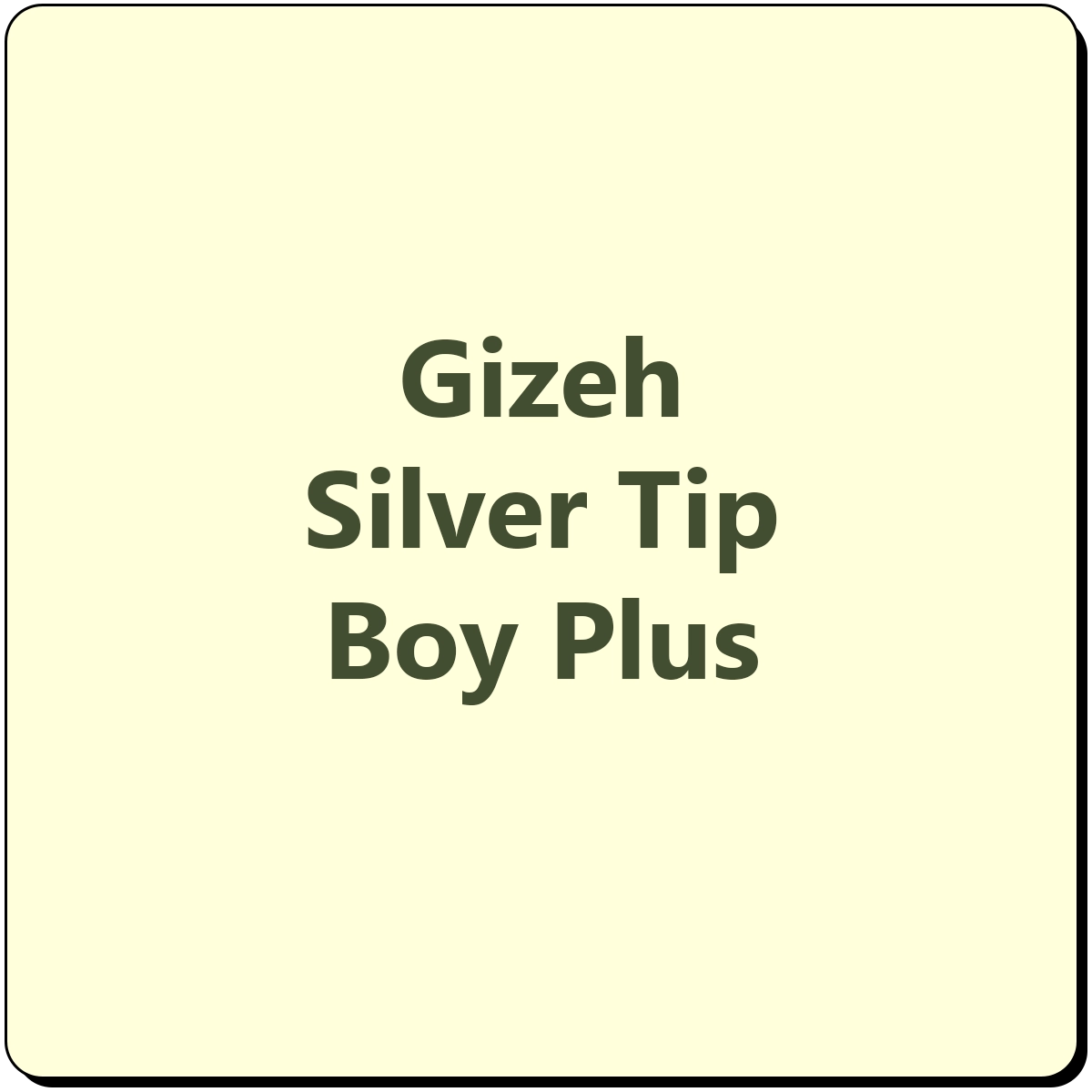 Gizeh Silver Tip Boy Plus