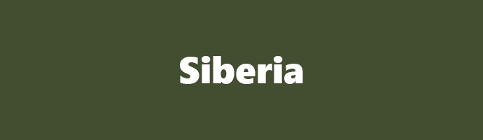 Siberia snus
