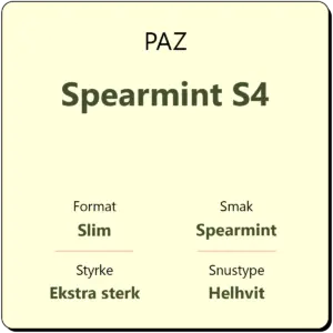 PAZ Spearmint S4