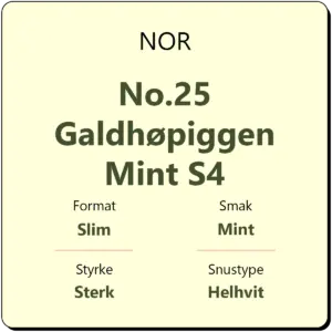 NOR No.25 Galdhøpiggen Mint S4