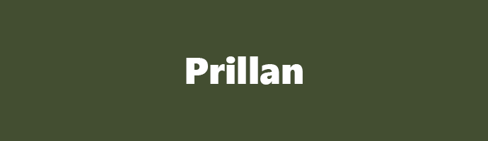 prillan snus