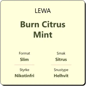 LEWA Burn Citrus Mint