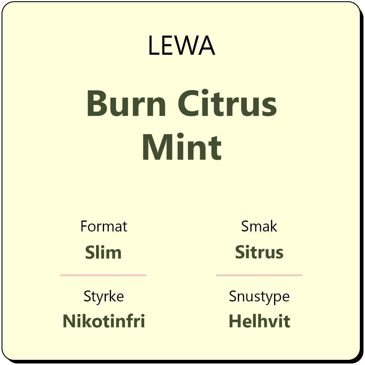 LEWA Burn Citrus Mint