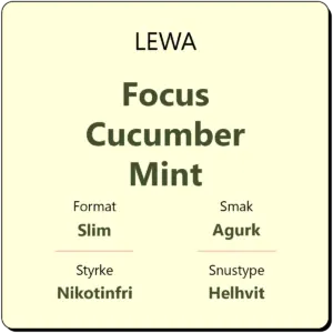 LEWA Focus Cucumber Mint
